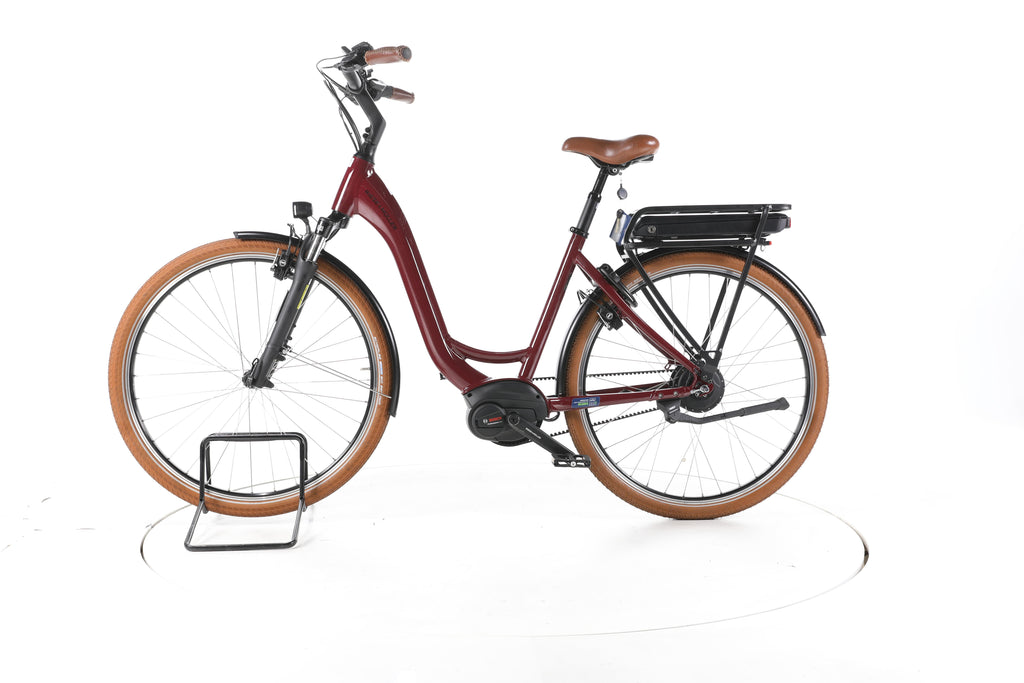 Riese & Müller Swing City E-Bike Tiefeinsteiger 2024 - Image 7