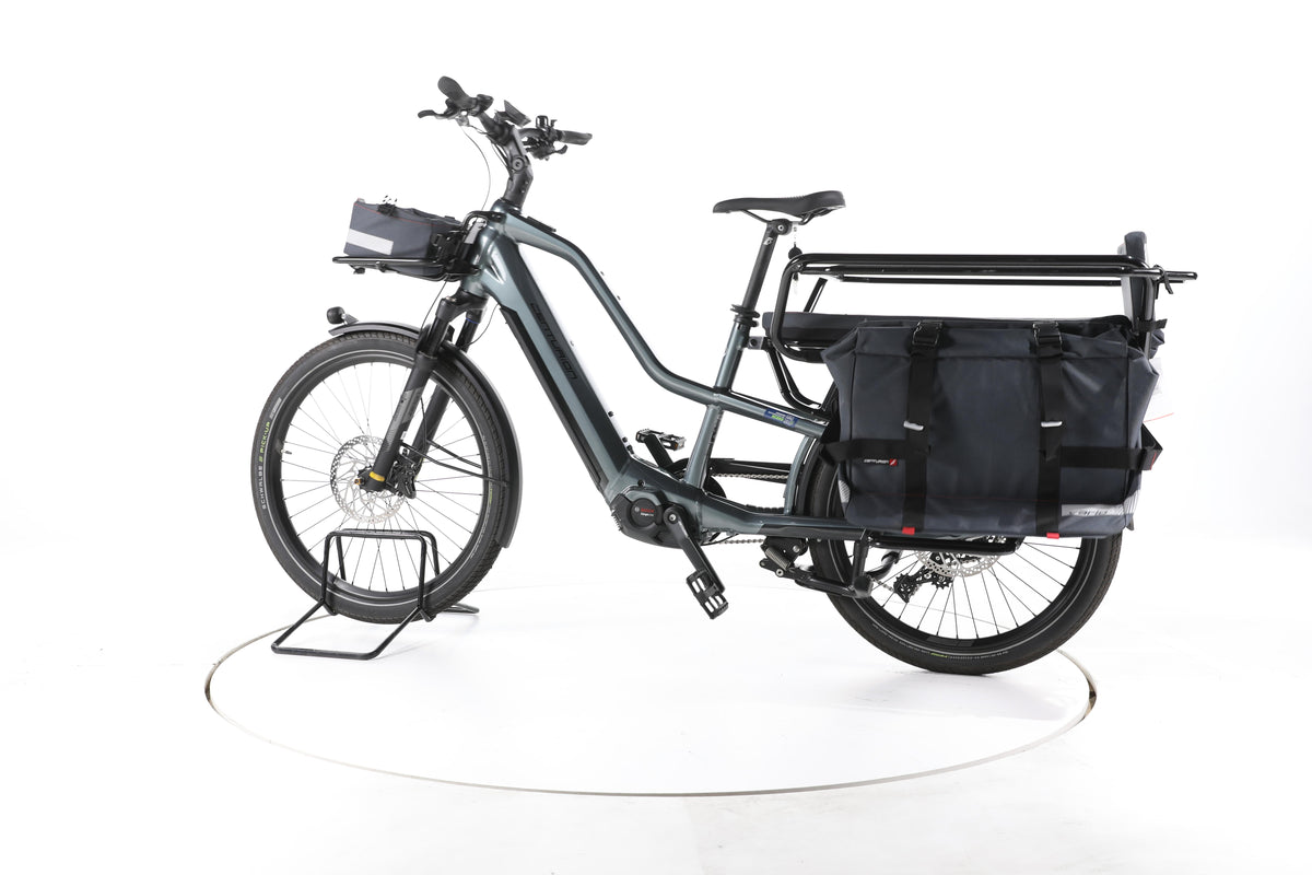 Centurion Vario R960i E-Lastenrad - Image 8