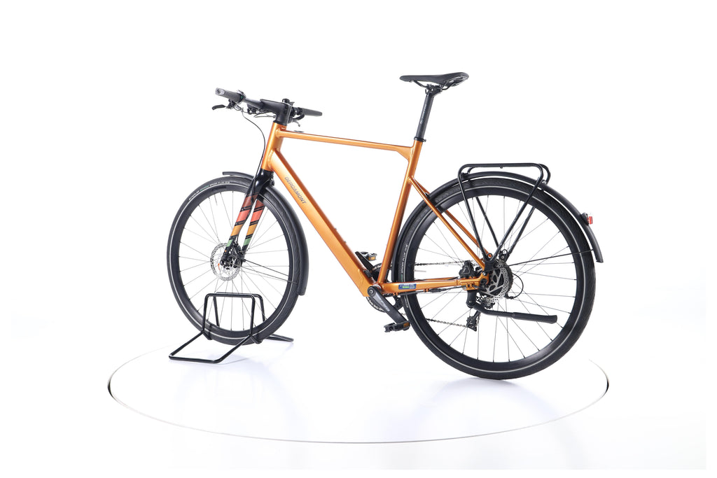 Bergamont E-Sweep Sport Trekking E-Bike - Image 8