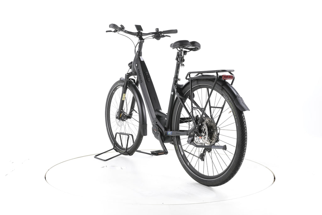 Pegasus Premio EVO Lite Trekking E-Bike Tiefeinsteiger 2023 - Image 9