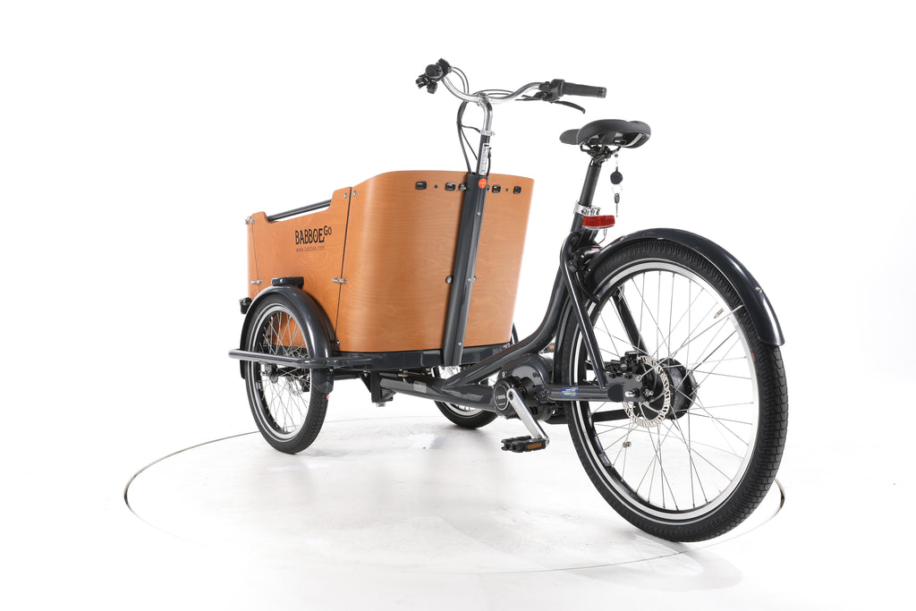 Babboe Go Mountain E-Lastenrad - Image 9