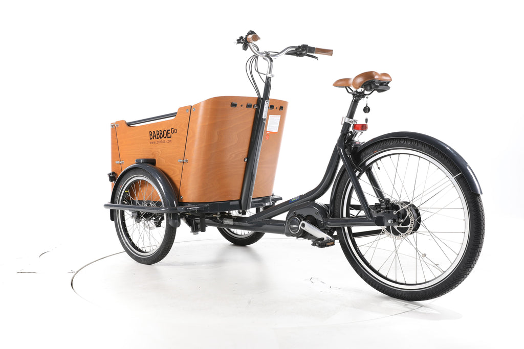 Babboe Go Mountain E-Lastenrad - Image 9