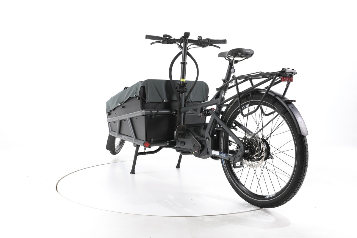 Riese & Müller Load 75 vario E-Lastenrad - Image 9