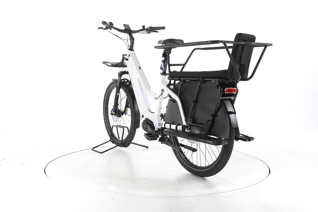 Riese & Müller Mixte GT vario E-Lastenrad - Image 9
