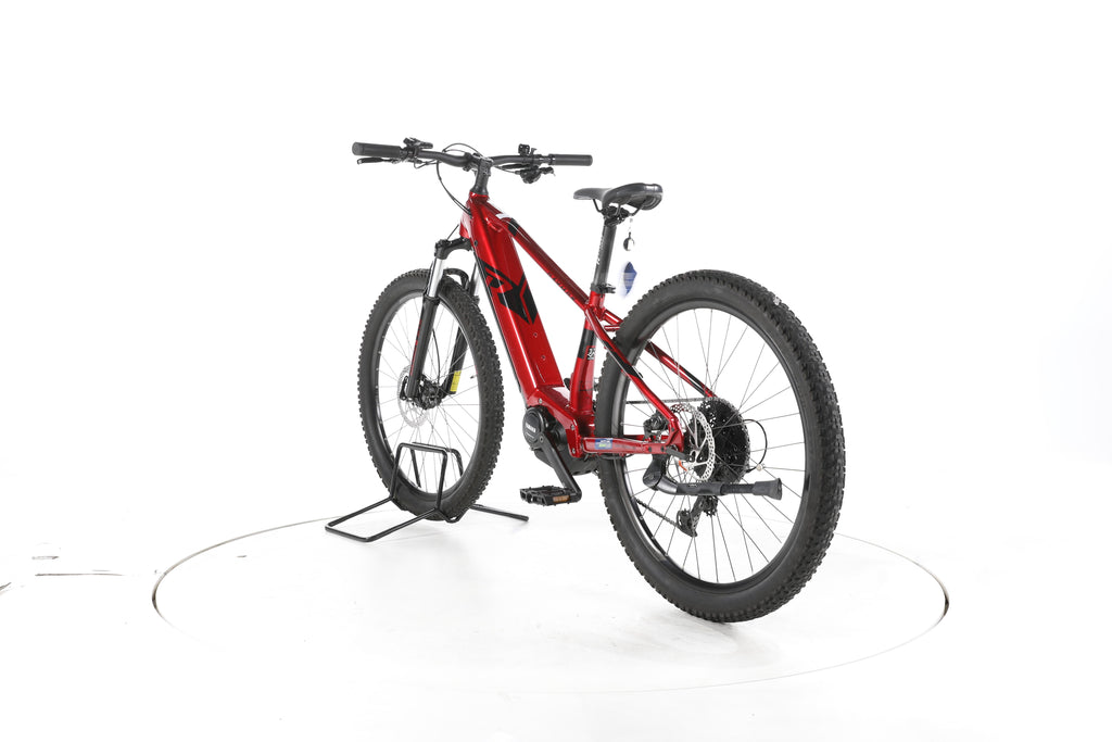 R Raymon Hardray E 4.0 E-Bike - Image 9