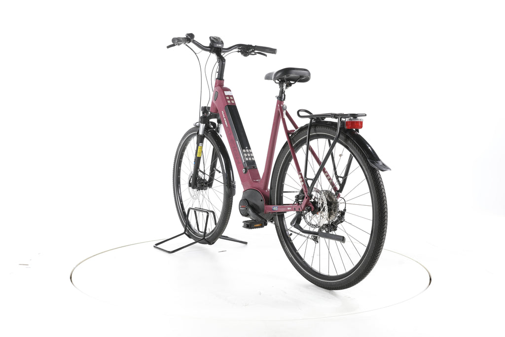 Raleigh Kent 9 Trekking E-Bike Tiefeinsteiger - Image 9