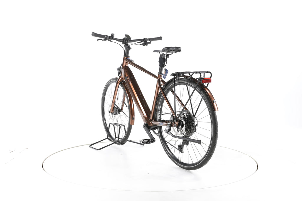 MAXX Roadmaxx ELF Tour Trekking E-Bike - Image 9