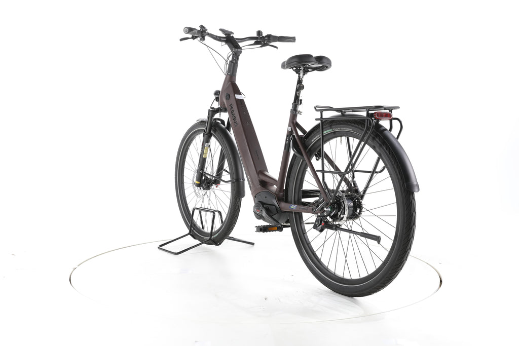 Pegasus Strong EVO 5R City E-Bike Tiefeinsteiger - Image 9