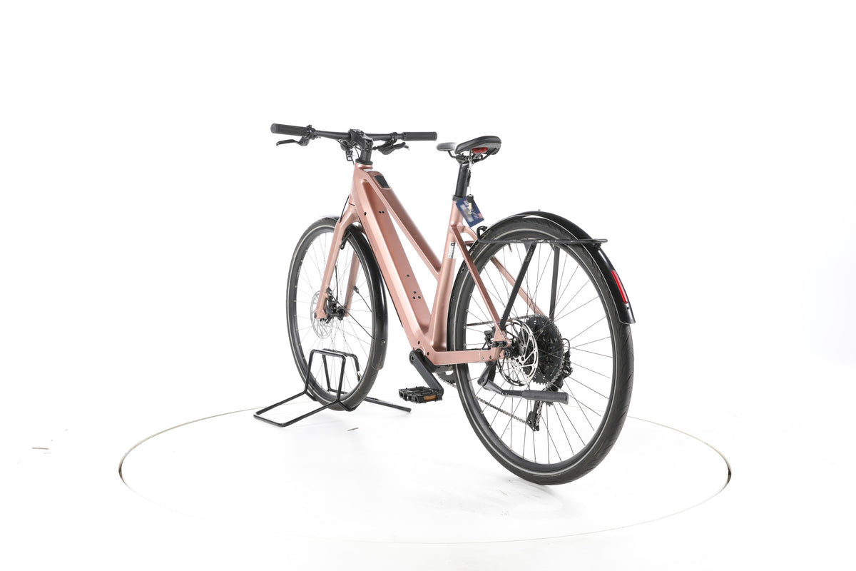 Riese & Müller UBN Seven touring Trekking E-Bike - Image 9
