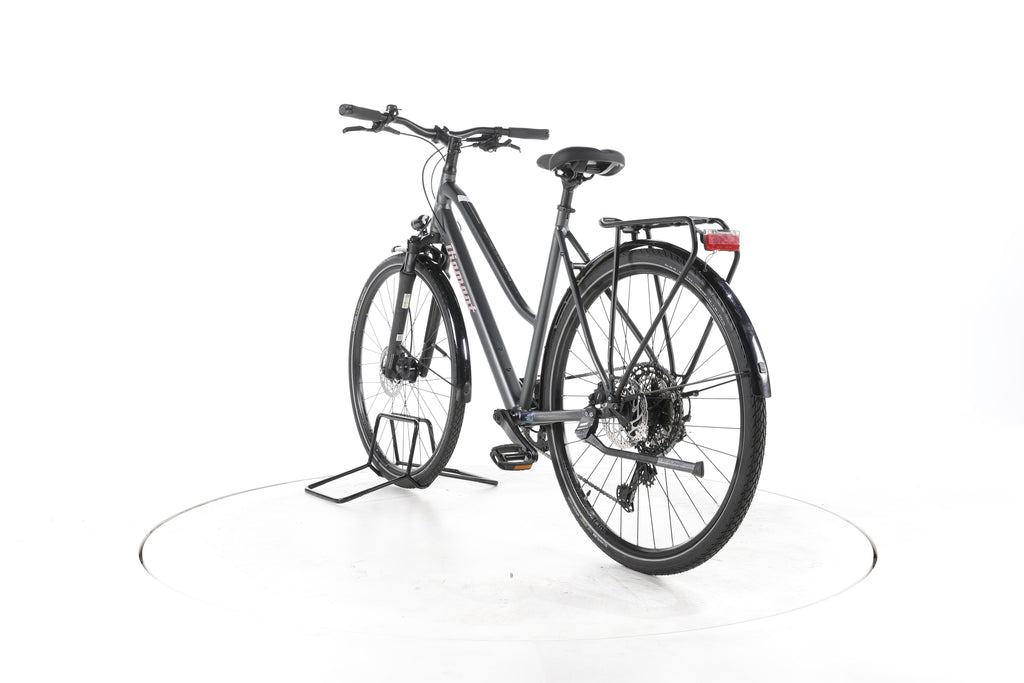 Diamant Elan Grand Deluxe Fahrrad City & Trekking - Image 9
