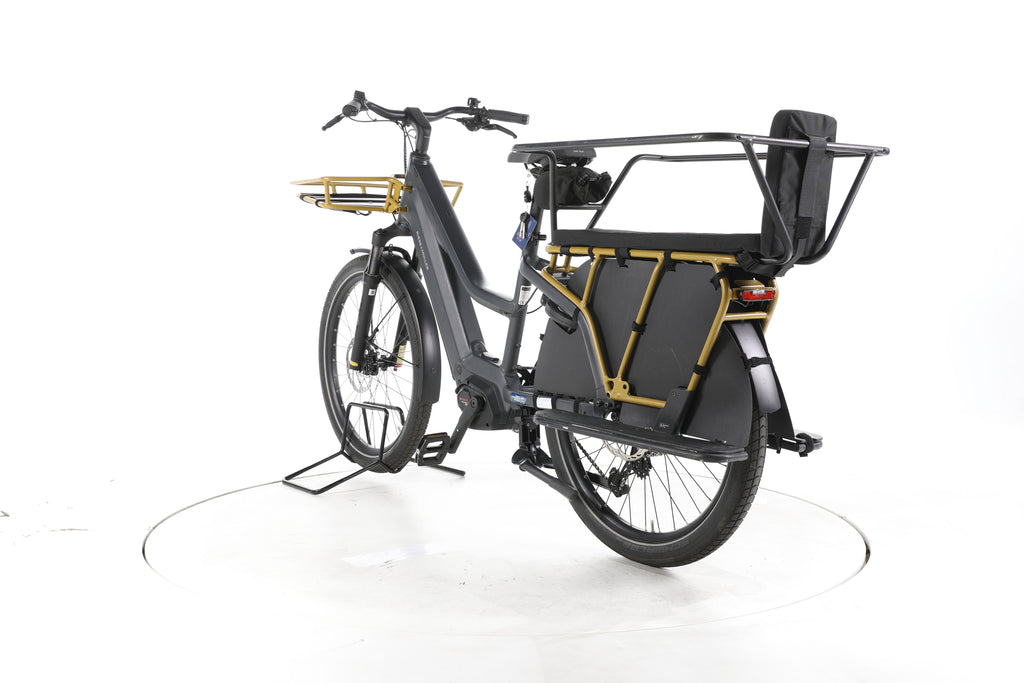 Riese & Müller Multicharger3 Mixte FAMILY E-Lastenrad - Image 9