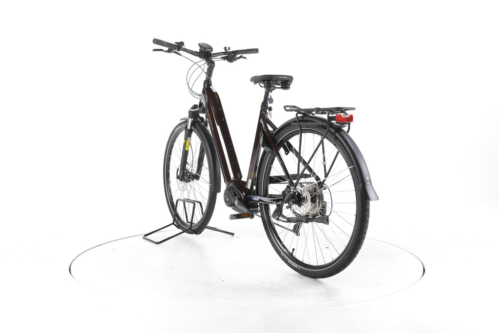 Victoria eTrekking 12.8 Trekking E-Bike Tiefeinsteiger - Image 9