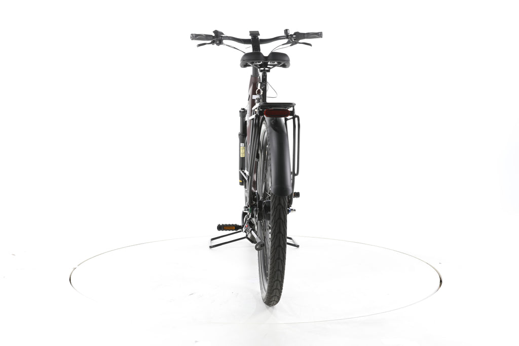 Pegasus Strong EVO 5R City E-Bike Tiefeinsteiger - Image 10