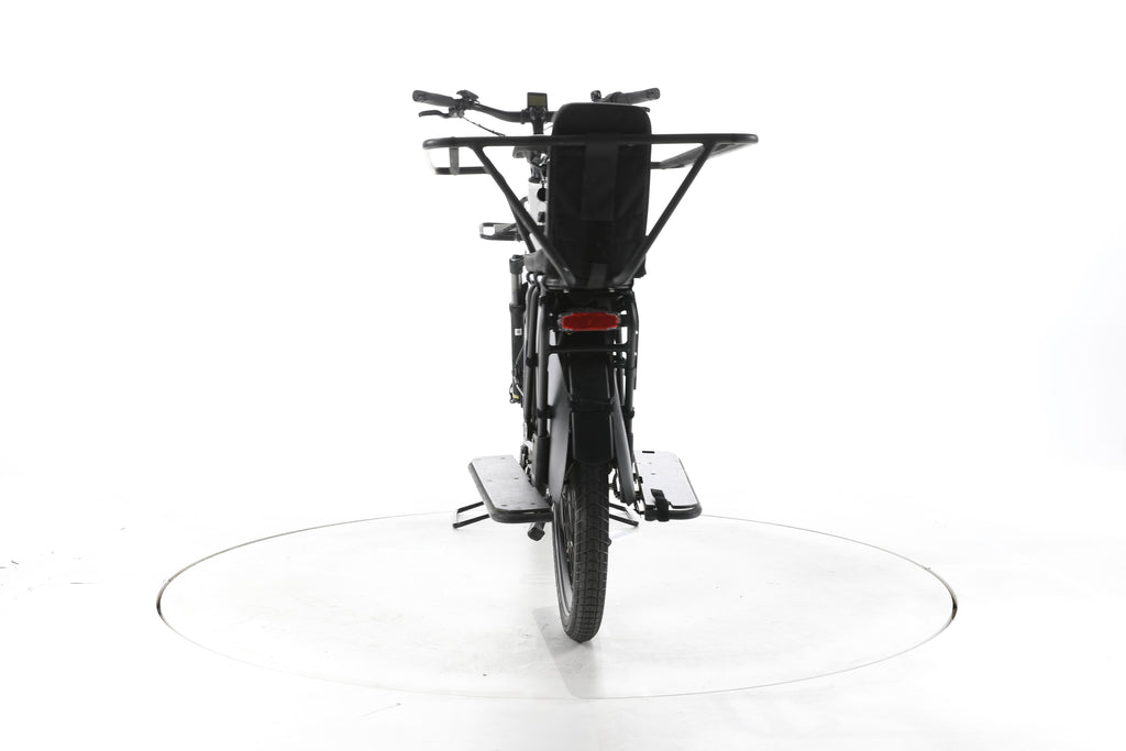 Riese & Müller Mixte GT vario E-Lastenrad - Image 10