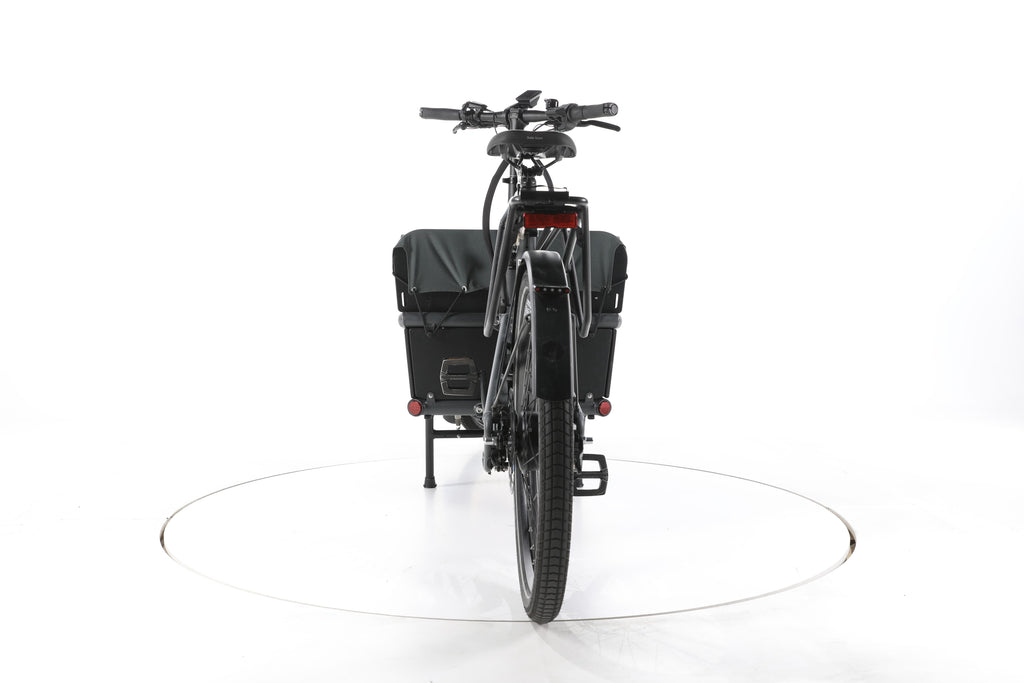 Riese & Müller Load 75 vario E-Lastenrad - Image 10