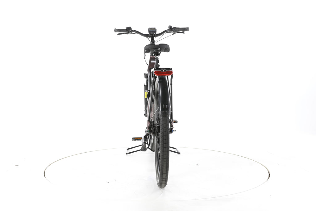 Carver Cityzen E.430 FL City E-Bike Tiefeinsteiger - Image 10