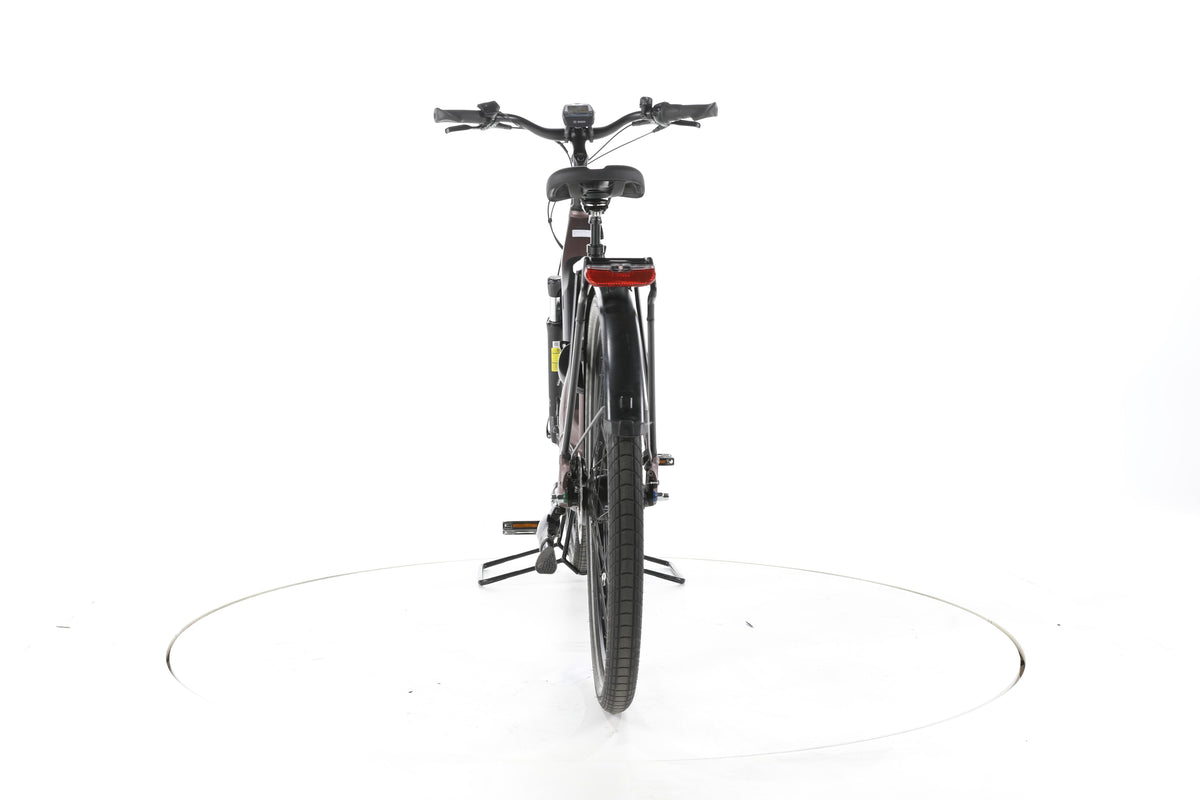 Carver Cityzen E.430 FL City E-Bike Tiefeinsteiger - Image 10