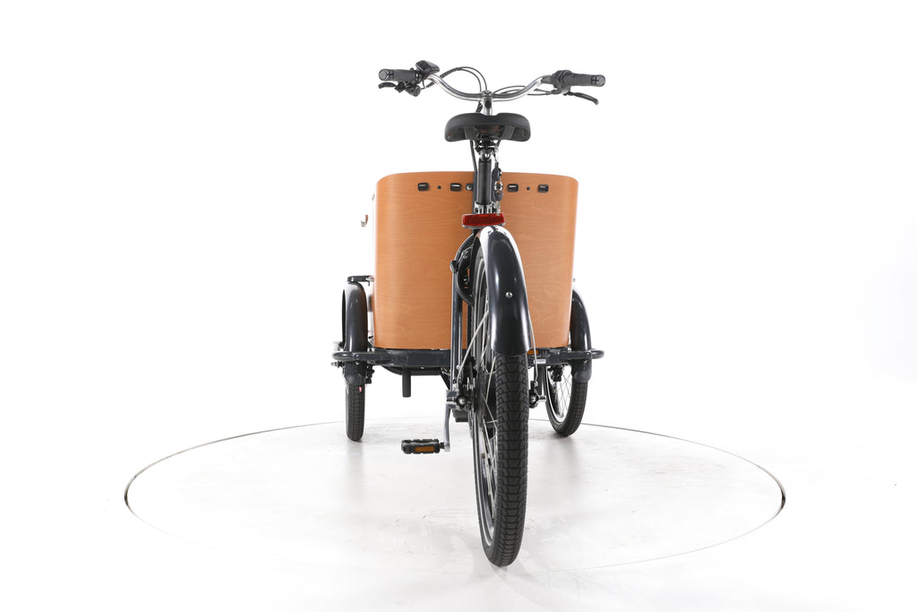 Babboe Go Mountain E-Lastenrad - Image 10
