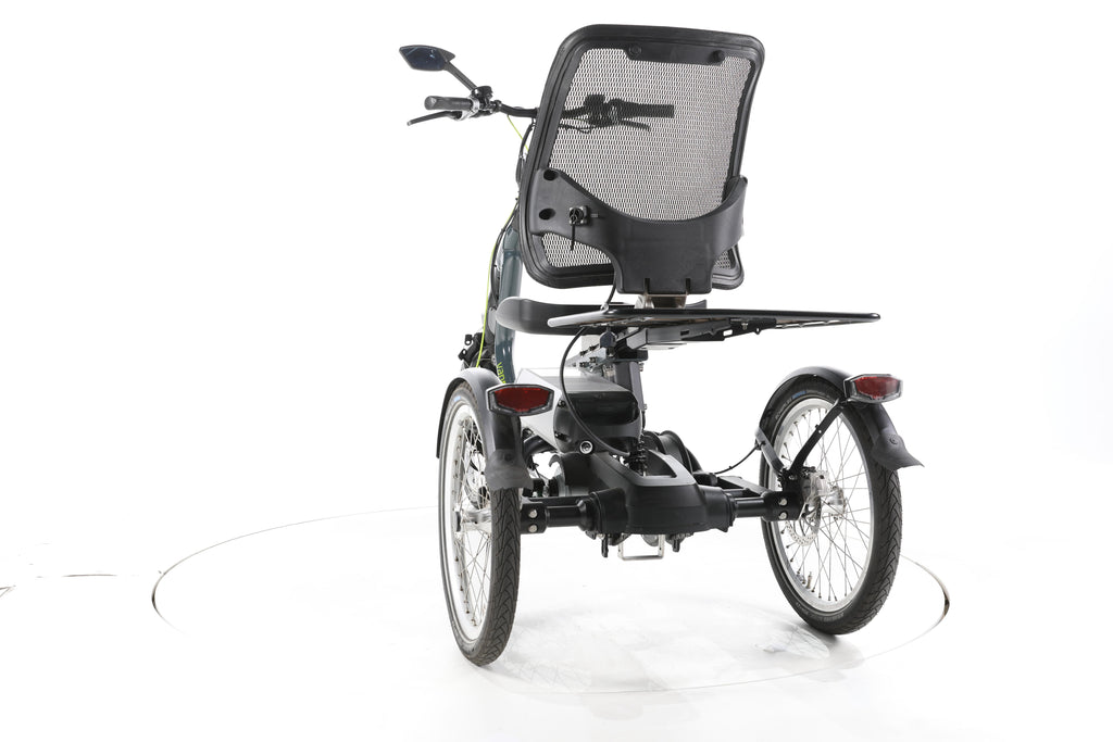 Van Raam Easy Rider 3 E-Lastenrad - Image 10