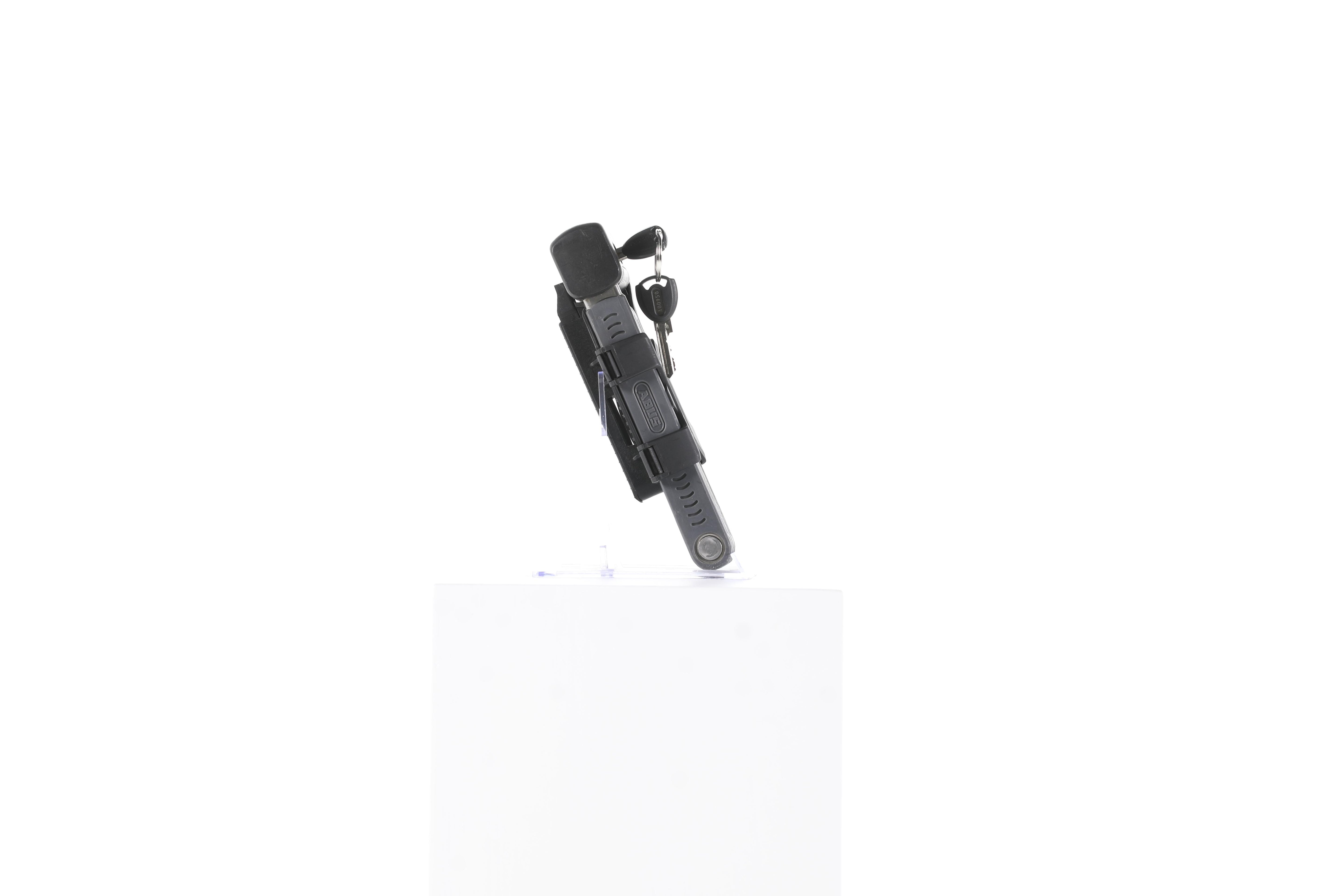rb-10004363-img-010