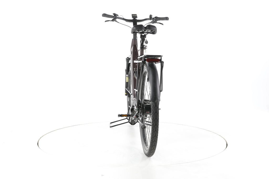 Pegasus Strong EVO 5R City E-Bike Tiefeinsteiger 2024 - Image 10