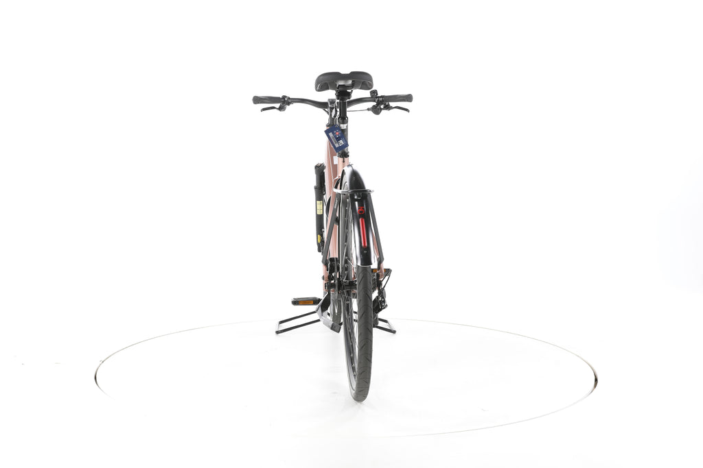 Riese & Müller UBN Seven Touring Trekking E-Bike - Image 10