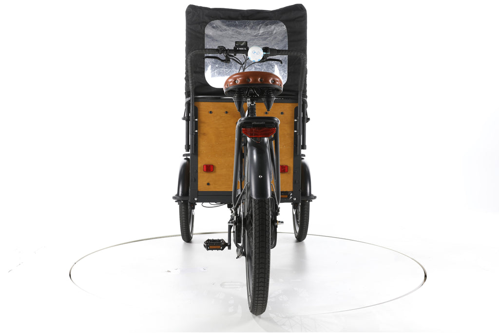 WEE CargoS E-Lastenrad - Image 10