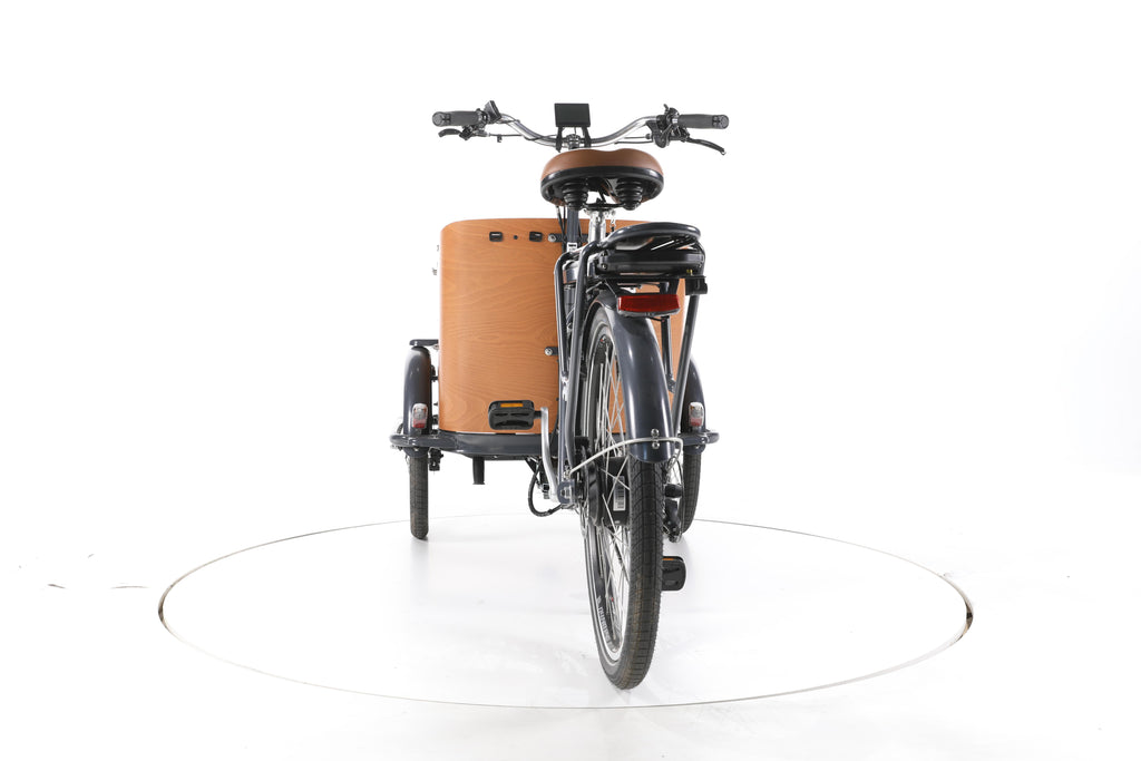 Babboe Go-E E-Lastenrad - Image 10