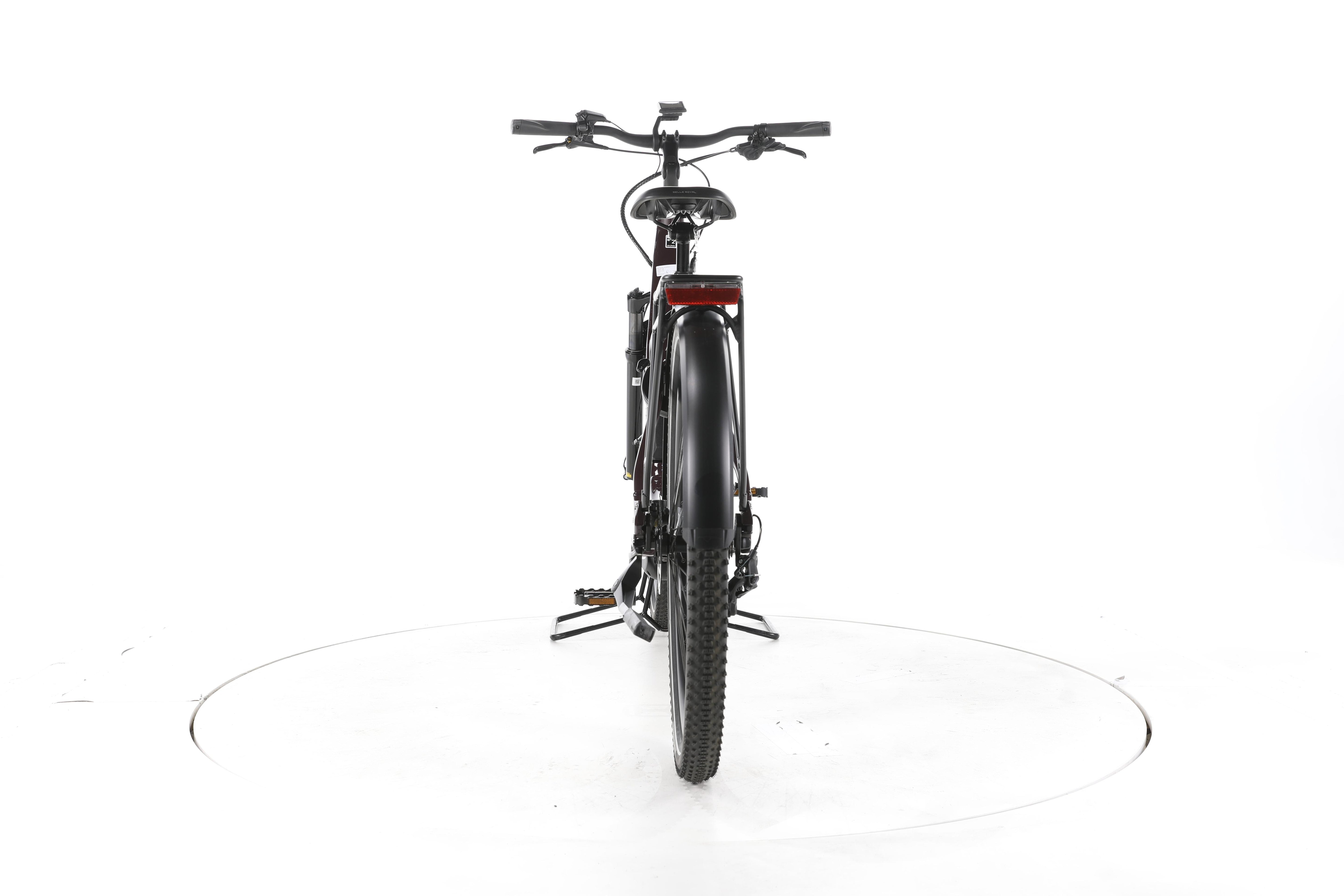 ADVANCED Trekking Plus Trekking E-Bike Tiefeinsteiger - Image 10