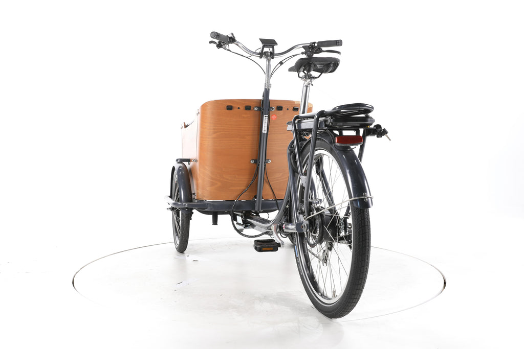 Babboe Go E E-Lastenrad - Image 10