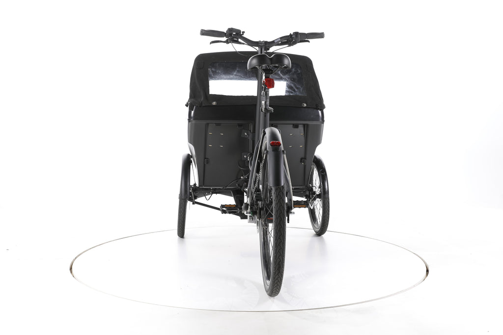 Triobike Mono E E-Lastenrad - Image 10