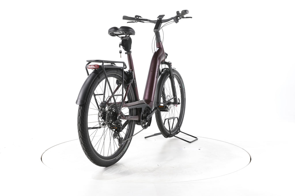 Pegasus Strong Evo 10 Lite Trekking E-Bike Tiefeinsteiger 2024 - Image 11