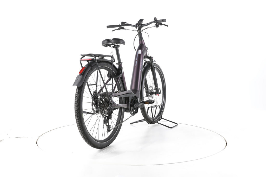 Pegasus Premio Evo 11"40 Years" Trekking E-Bike Tiefeinsteiger - Image 11