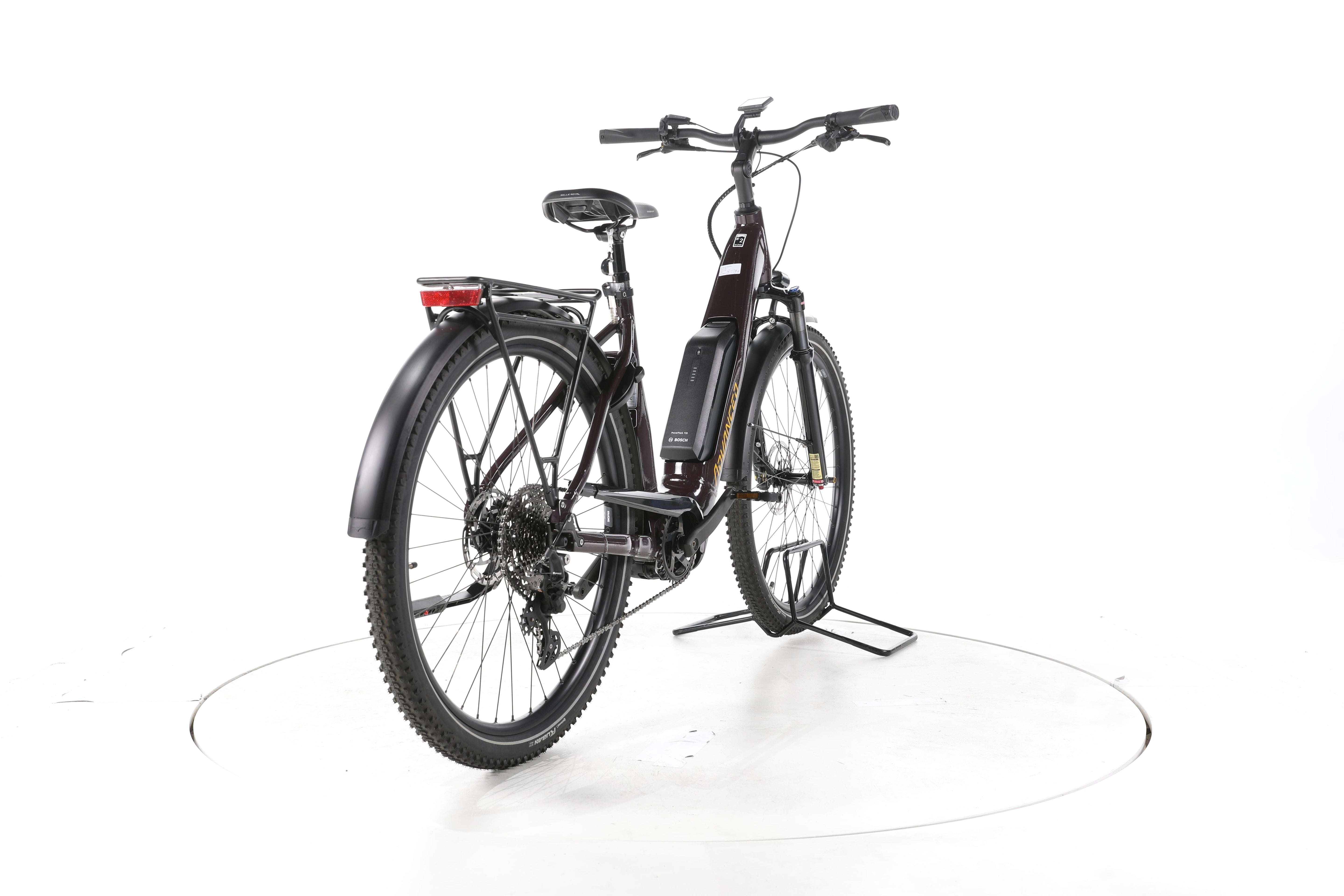 ADVANCED Trekking Plus Trekking E-Bike Tiefeinsteiger - Image 11