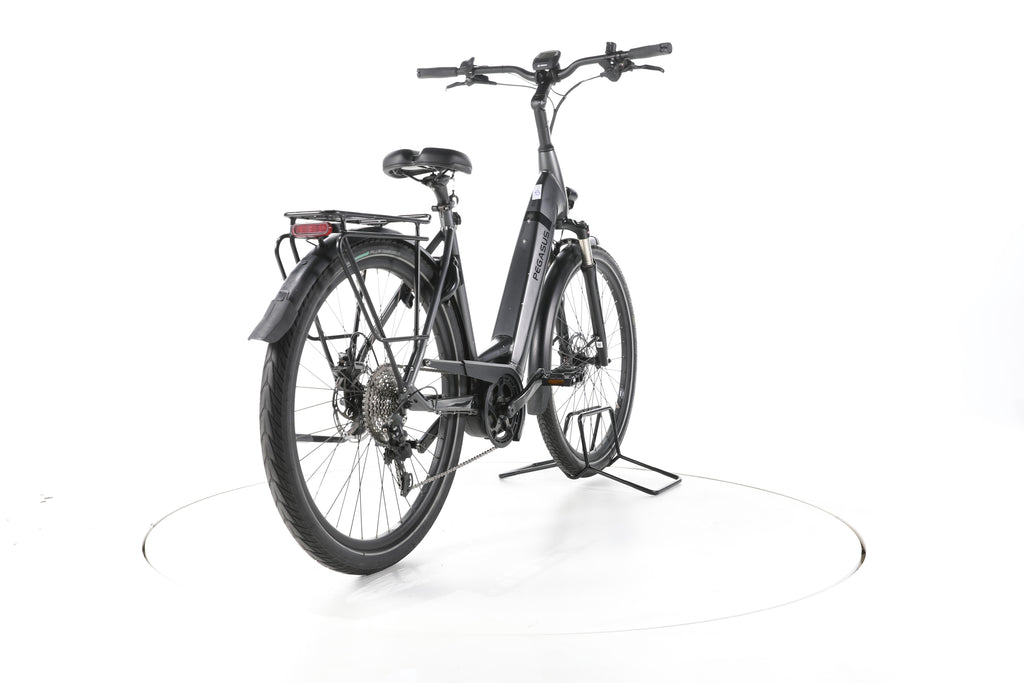 Pegasus Strong EVO 10 Trekking E-Bike Tiefeinsteiger - Image 11