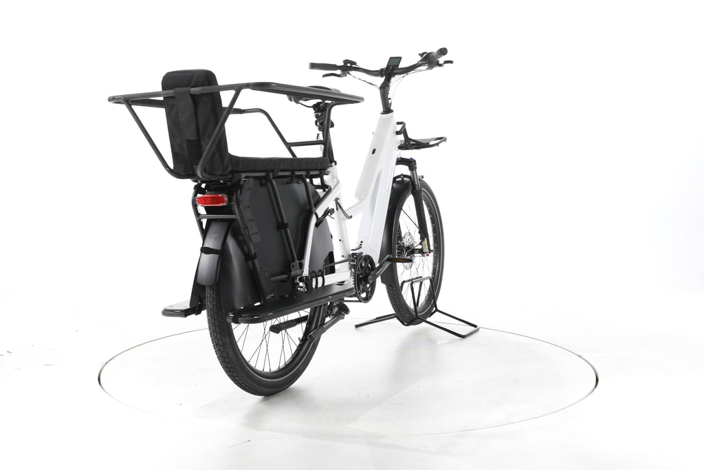 Riese & Müller Mixte GT vario E-Lastenrad - Image 11