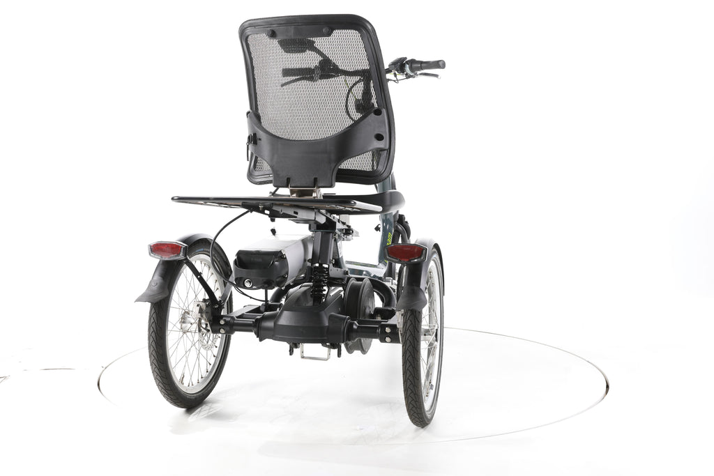 Van Raam Easy Rider 3 E-Lastenrad - Image 11