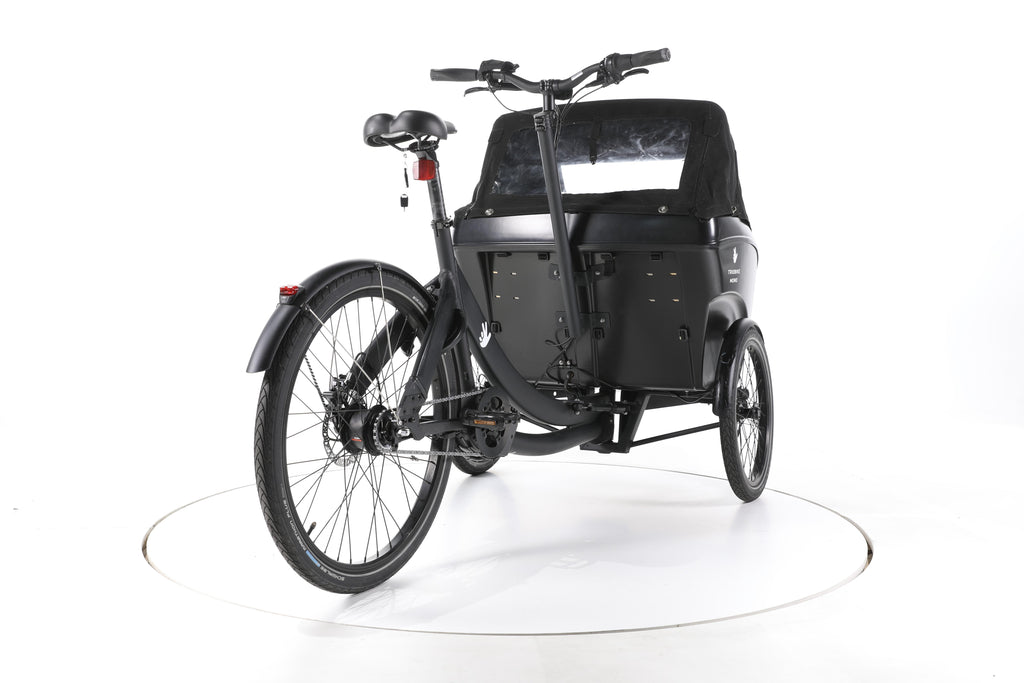 Triobike Mono E E-Lastenrad - Image 11