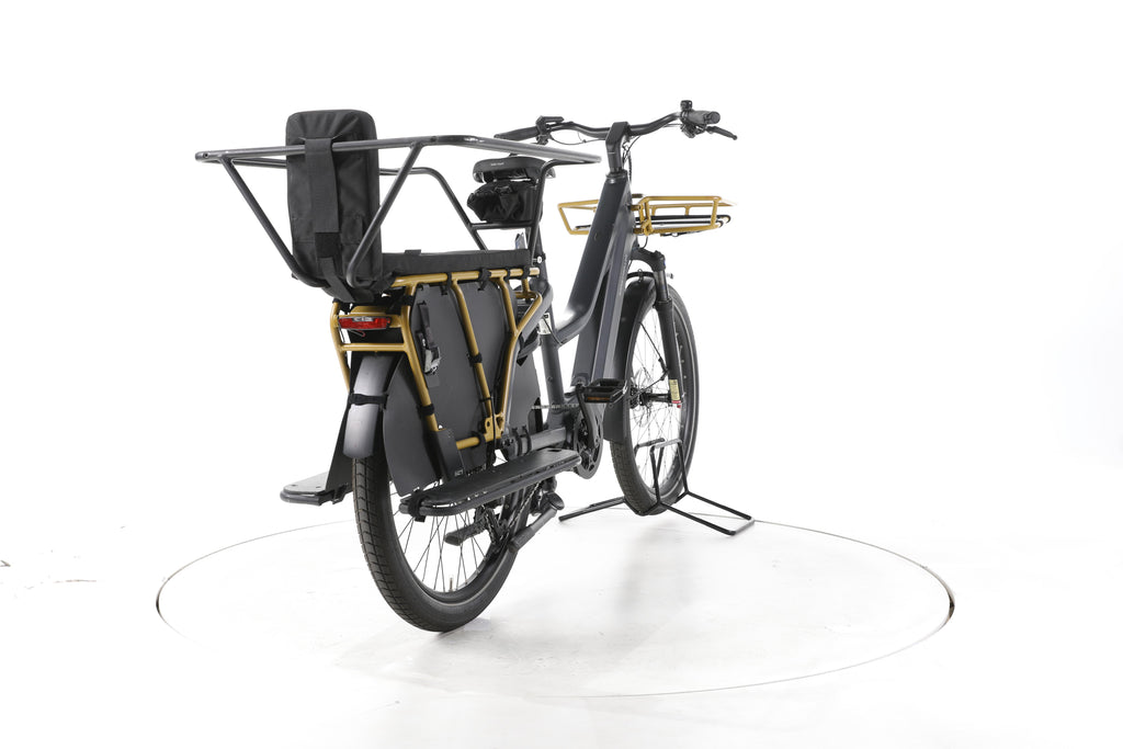 Riese & Müller Multicharger3 Mixte FAMILY E-Lastenrad - Image 11