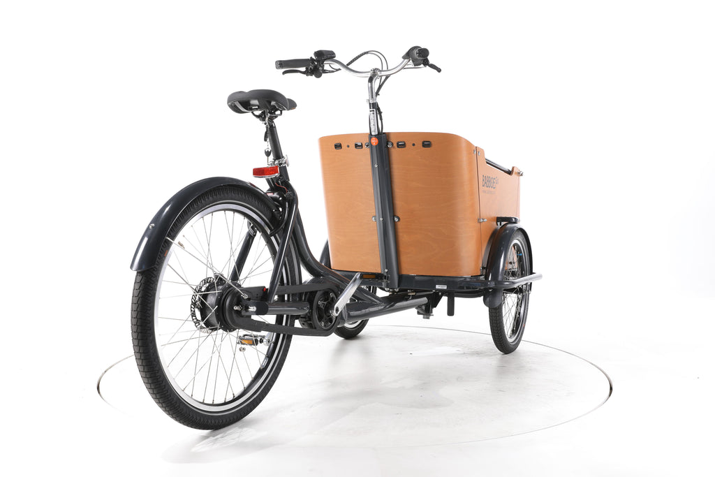 Babboe Go Mountain E-Lastenrad - Image 11