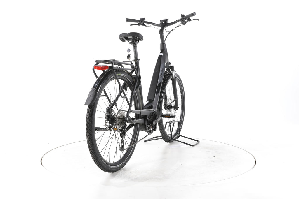 Pegasus Solero EVO 9 Trekking E-Bike Tiefeinsteiger - Image 11