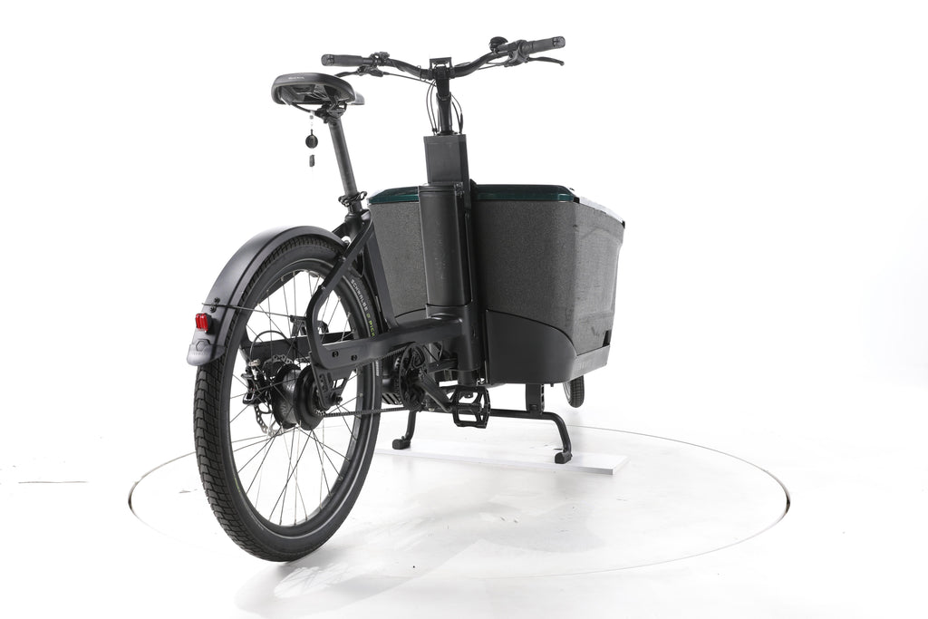 TENWAYS Cargo One E-Lastenrad - Image 11
