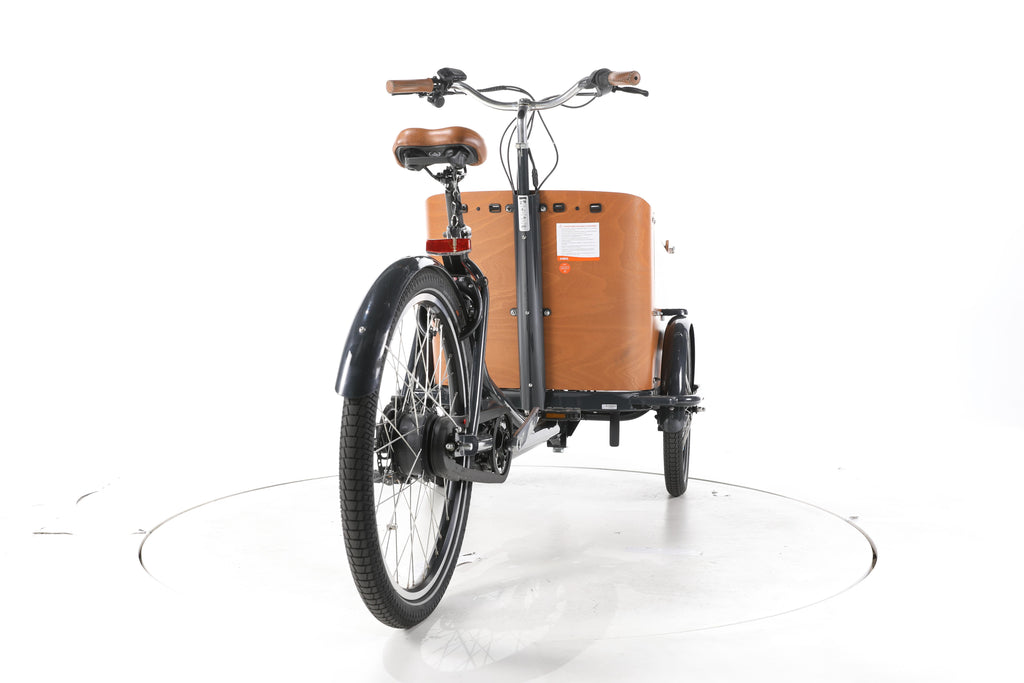 Babboe Go Mountain E-Lastenrad - Image 11