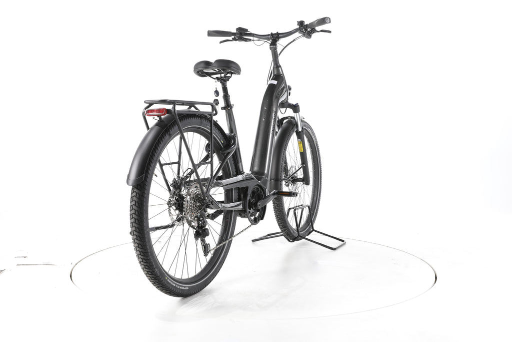 Pegasus Savino Evo 10D Trekking E-Bike Tiefeinsteiger - Image 11