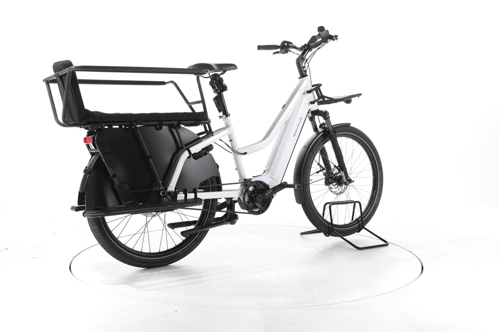 Riese & Müller Mixte GT vario E-Lastenrad - Image 12