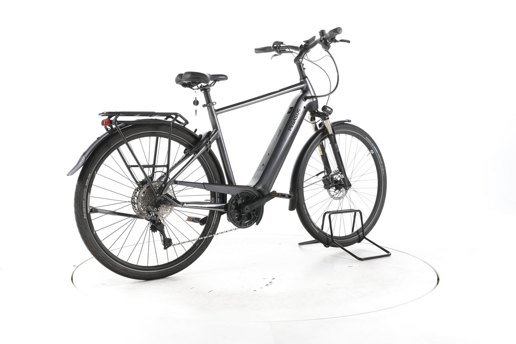 Pegasus Premio Evo 10 Lite Trekking E-Bike - Image 12