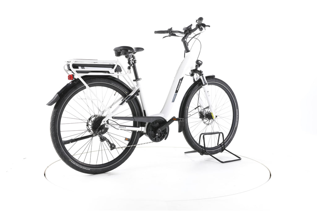 Pegasus Solero E9 Performance Trekking E-Bike Tiefeinsteiger - Image 12