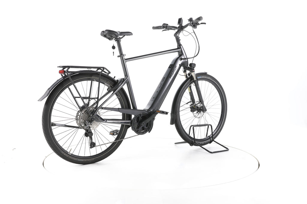 Pegasus Premio Evo 10 Lite Trekking E-Bike - Image 12