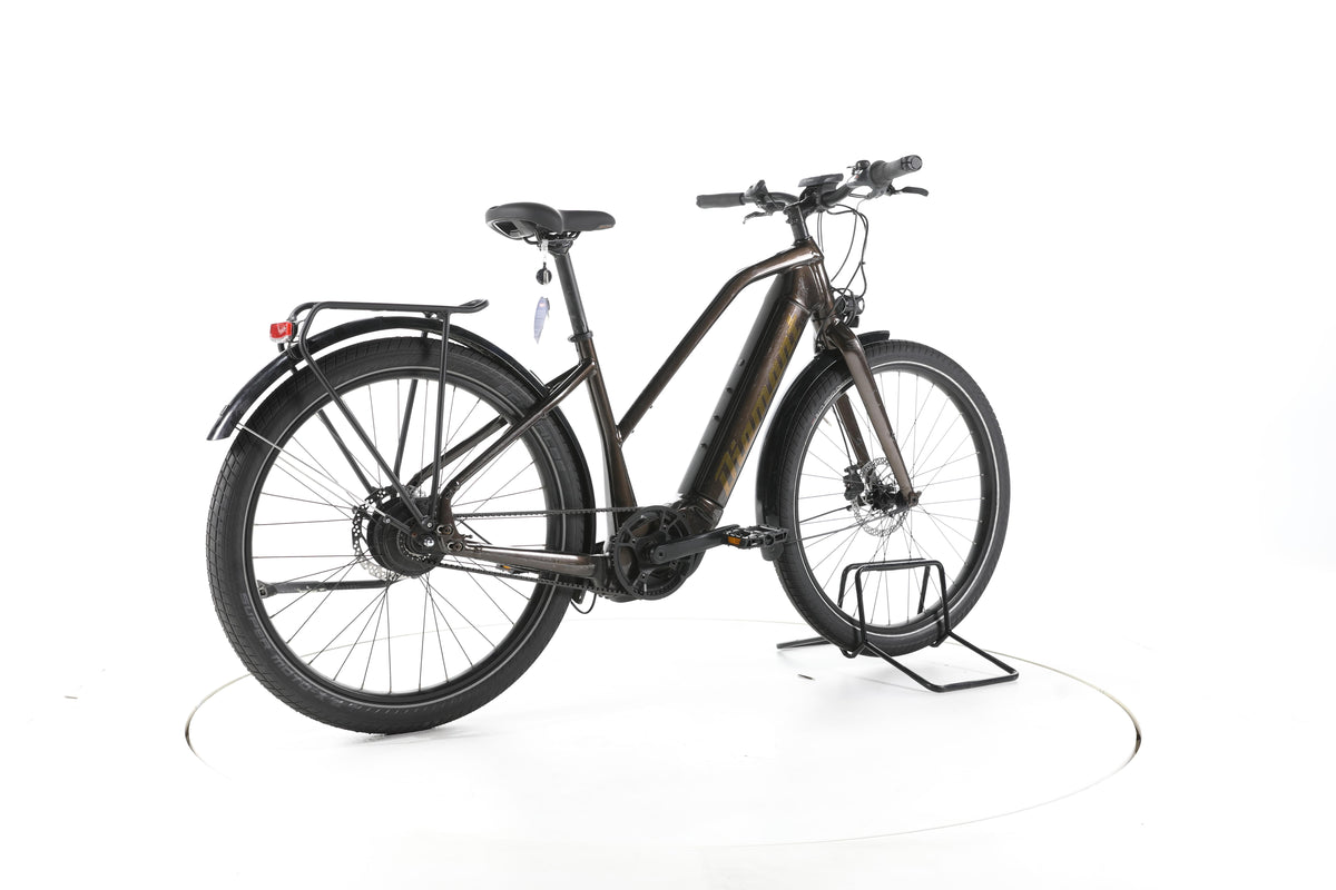 Diamant Opal Esprit+ City E-Bike - Image 12