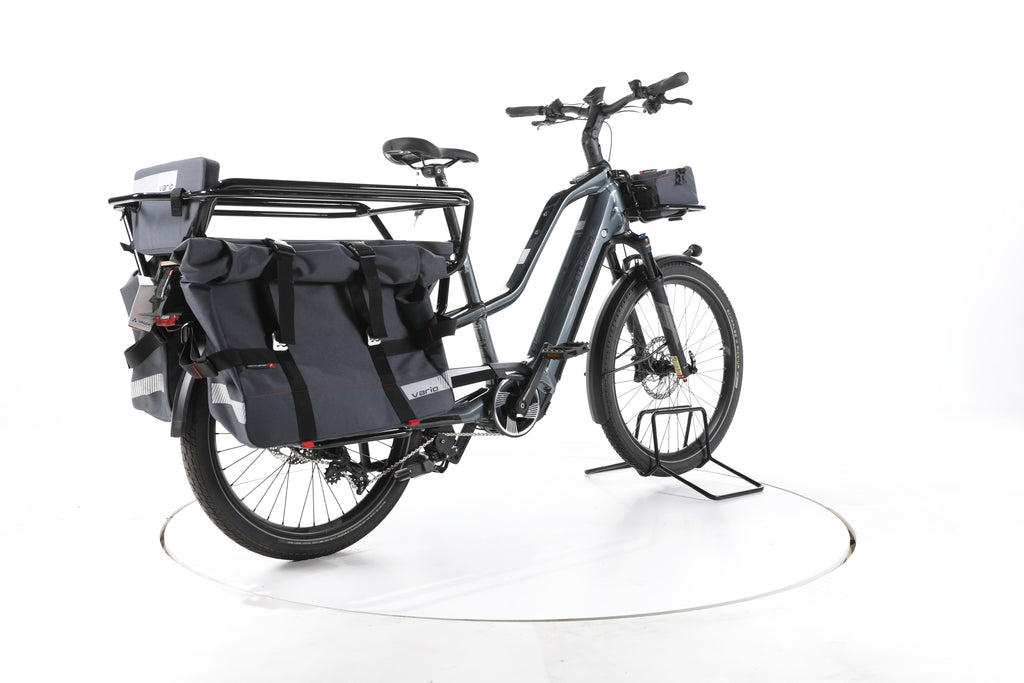 Centurion Vario R960i E-Lastenrad - Image 12